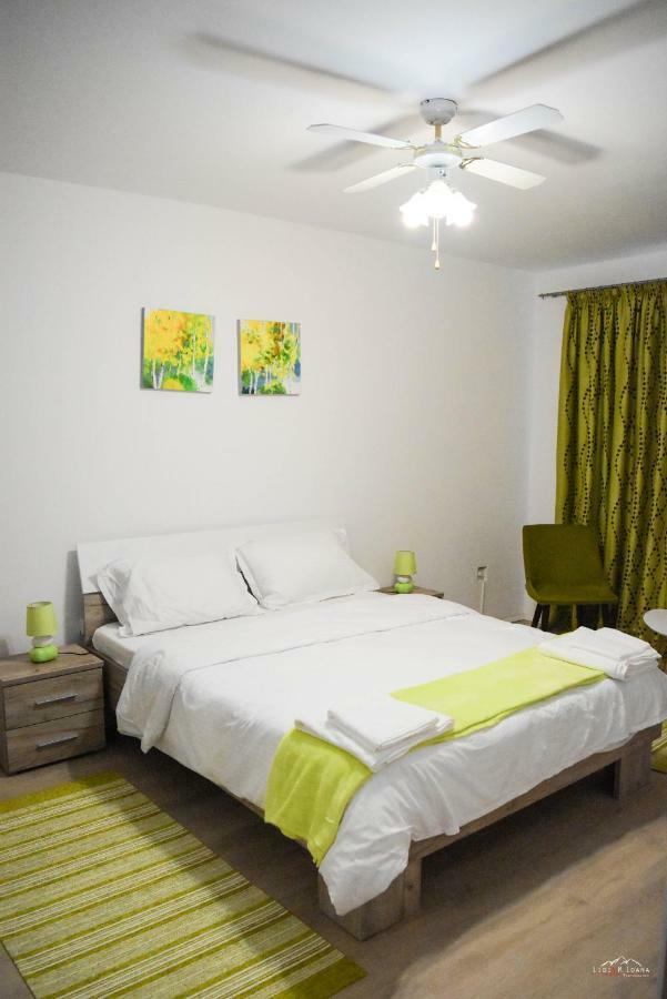 Spacious And Cozy 3Bd+Terrace Couples Apartment Timişoara Exterior foto