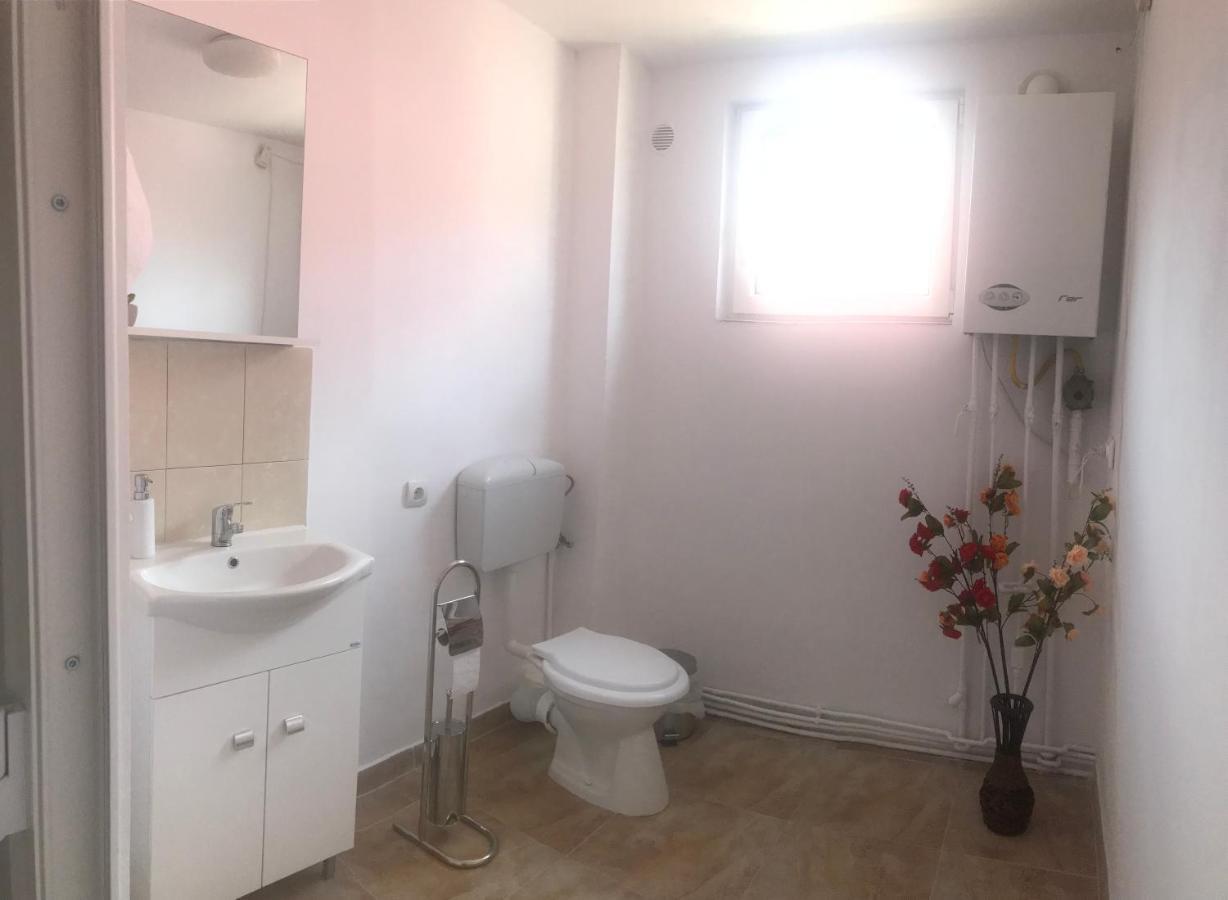Spacious And Cozy 3Bd+Terrace Couples Apartment Timişoara Exterior foto